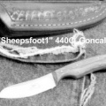 Sheepsfoot1